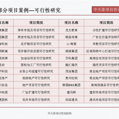 《濟南市眼鏡架產業重組技改招商項目融資可行性研究報告》寫作指南
